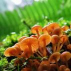 5c8a798a230000dd04232591