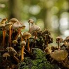 5c8a798b2500001304c915c5