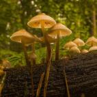 5c8a798b2400000a05a31f7b