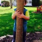 5c8a3afe2400000a05a2cfbc