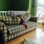 5c8a3b002300007f0122d57b