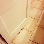 5c8a3b01250000e203c8c600