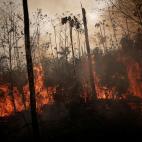 Una franja de la Amazonia en Porto Velho, deforestada por agricultores y ganaderos el 23 de agosto.