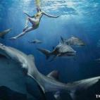 El falso anuncio de los tampones Tampax