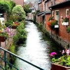 Otro de los preciosos pueblos pesqueros de la Alta Normandía. Con poco más de 600 habitantes, este balneario ha sido testigo de la visita de numerosos artistas franceses que querían plasmar sus bellos paisajes e, incluso, escritores como Víc...