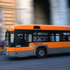 Lo llaman micro (Paraguay), guagua (Puerto Rico, República Dominicana), ómnibus (Uruguay), bus (Costa Rica, Guatemala), colectivo (Ecuador), micro (Mexico), buseta (Colombia) y hasta ruta (Nicaragua).