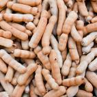 Aun cuando en la mayoría de los países el tamarindo es una fruta marrón y agria proveniente de un árbol con el cual se pueden hacer jugos, helados y salsas, en países como México se utiliza la palabra para referirse a los agentes de tráns...