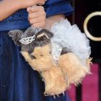 Este lindo bolso seguramente sí recuerdas de quién es...