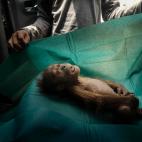 Obra de Alain Schroeder