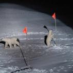 Obra de Esther Horvath