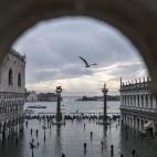 5dcbe3972100005e6034ccfe