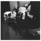 5c8a3e6324000093024b9b2f