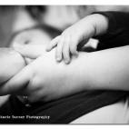 5c8a3e6424000093024b9b33