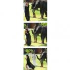 5c8a718d230000d504231c93