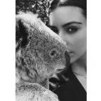 5c8a71992400006b054bdcf5