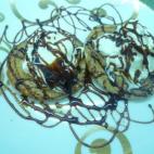 Siguiendo estos pasos y con una batidora, saldrán perfectas. Ver la receta completa en Cookpad.