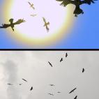 5c8b318d2500001304ca46bf