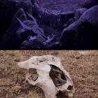 5c8b318d2000009e04705f23