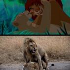 5c8b318d3b000072066d32db