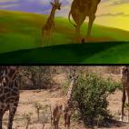 5c8b318e2500000704ca46c1