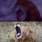 5c8b318e3b000070066d32dd