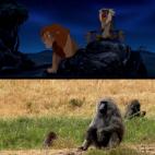 5c8b318f22000031001a840e