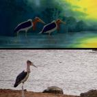 5c8b3190230000dd0424577b