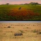 5c8b3195240000f7054d15ef