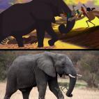 5c8b31962300005300e7ce49