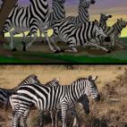 5c8b31962500001304ca46d5