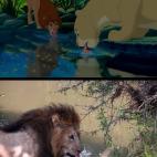 5c8b3196240000f7054d15f2