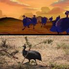 5c8b3197230000dd04245789