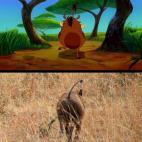 5c8b31972000004304705f2d