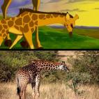 5c8b31972400006b054d15f6