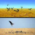 5c8b319824000093024d15f8