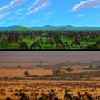 5c8b31982400006b054d15fa