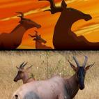 5c8b31982300007f0124578f