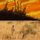 5c8b3199360000e01c6cb1c1