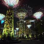 Uno de los lugares más llamativos de Singapur es Gardens by the Bay, un jardín de más de 100 hectáreas que se construyó con terreno ganado al mar y con la idea de mejorar la calidad de vida dentro de la ciudad. Lo que más llama la atenció...