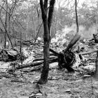 El Foro Económico Mundial estima que la corrupción perjudica tanto al país que lo sufre como al resto del mundo. La falta de transparencia, el robo, provoca que se le añada un 10 por ciento de costos a cualquier operación mercantil y hasta ...