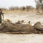 El Foro Económico Mundial estima que la corrupción perjudica tanto al país que lo sufre como al resto del mundo. La falta de transparencia, el robo, provoca que se le añada un 10 por ciento de costos a cualquier operación mercantil y hasta ...