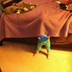 5c8ad7b43b000002076cacbf