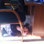 5c8ad7b6230000040123cf22