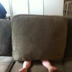 5c8ad7b82500000704c9bf53