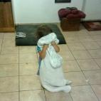 5c8ad7b83b000070066cacc7