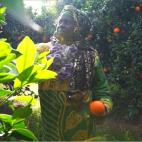 5c8aecd320000045046ff7c3