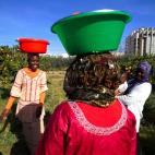 5c8aecd5230000040123edbd