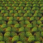 5c8a9ec724000093024c19c0