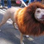 5c8aec4f2300002f00e7648a