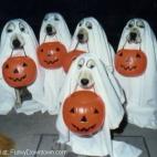 (vía Funky Downtown)